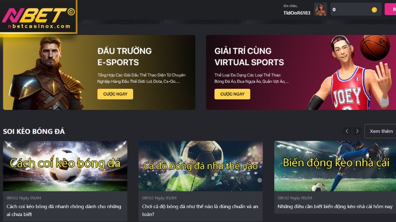 Thể thao NBET quy tụ hàng loạt bộ môn cá cược chất lượng